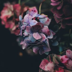 Matte Ceramic Vase